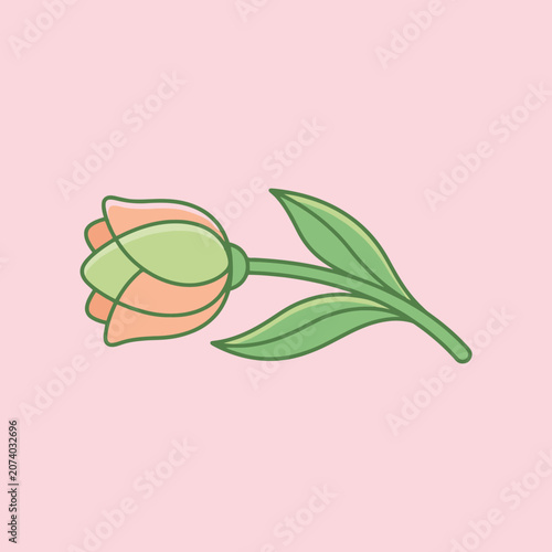 A simple illustration of a single peach flower on pink