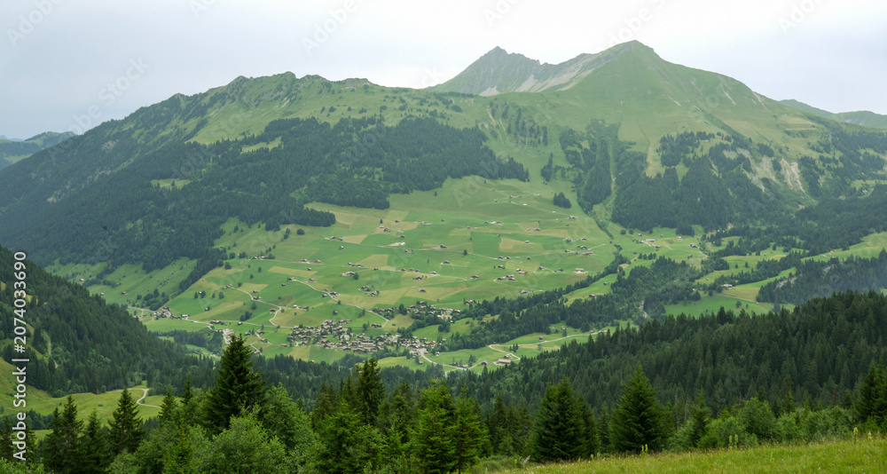 Fototapeta premium Scenic view of Swiss Alps with lush green valleys and distant mountains