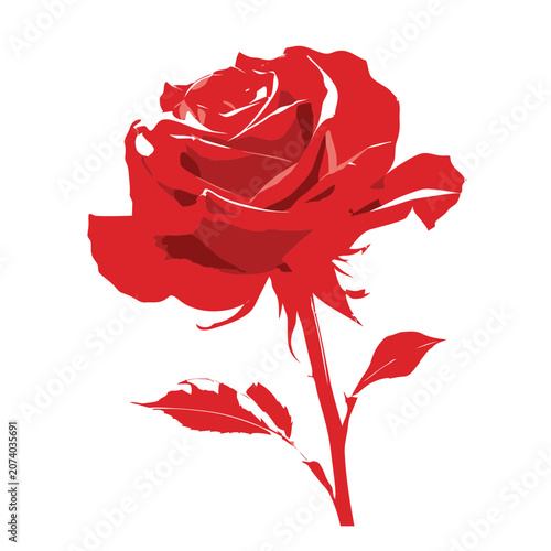 Red rose flat vector illustration