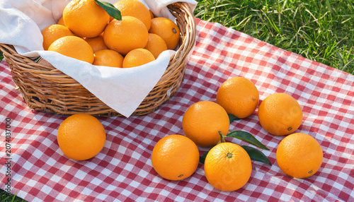 photograph of a group of oranges in a basket with a white cloth under them. Some of the oranges are spilled out onto a picnic blanket