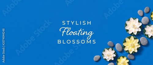 Water lily lotus flowers background with grey spa stones on blue banner backdrop for wellness and relaxation themed layout designs with copy space for text and decorative spiritual yoga zen treatments