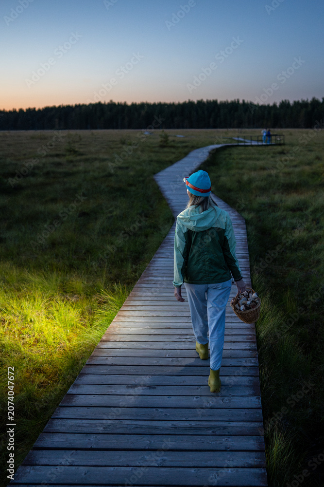 Fototapeta premium Woman forager walks through peat bog at wooden path at dusk, lighting her way with headlamp on head, returning from autumn wetland with basket full of mushrooms back view. Foraging wild food. 