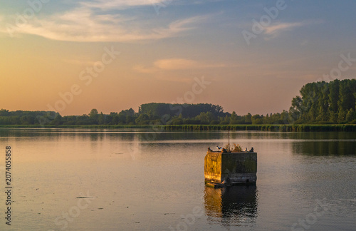 Golden Morning Reflection at Harchies Wetlands