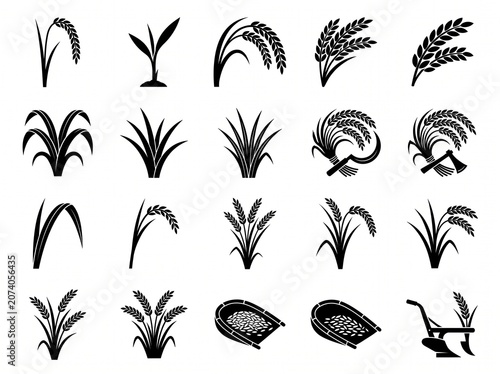 Rice farming and cultivation vector icon illustration set