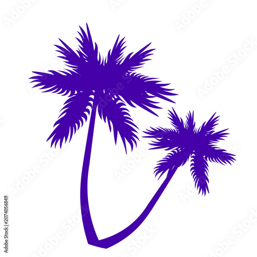 illustration of a palm tree silhouettes, isolated