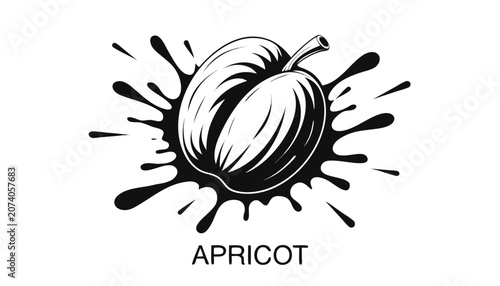 Tableau sur toile Very beautiful black and white vector illustration of an APRICOT with dramatic j