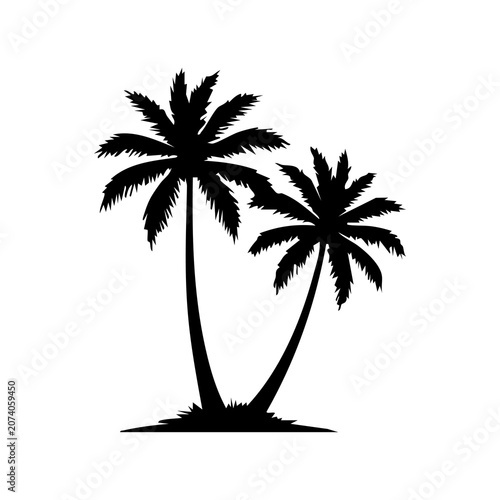 palm tree silhouette