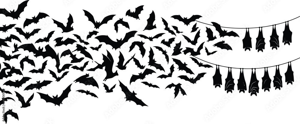Fototapeta premium Helloween bats silhouette spooky halloween decorations flying bats and hanging bat swarm design