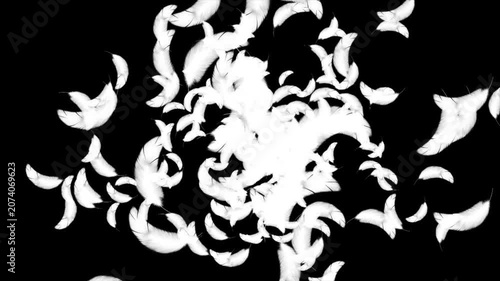 soft white feathers burst outward in every direction, swirling through the atmosphere like fragments of a dream caught in a powerful gust. artistic and stunning falling feathers animation