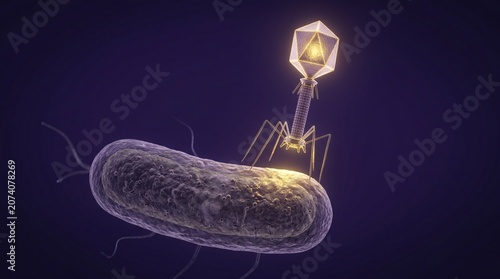 Single Phage Descent Toward Bacillus in Controlled Violet Gold Space
