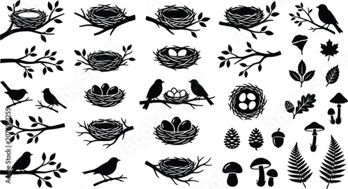 Konstfotografi Collection of black silhouette of birds, nests, eggs, branches, leaves, mushroom