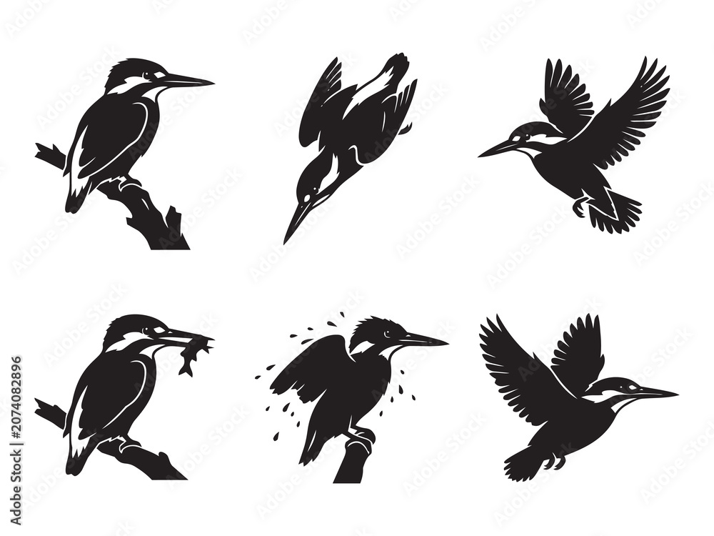 Fototapeta premium action set of six black kingfisher bird silhouettes diving, catching fish, and flying on a white background