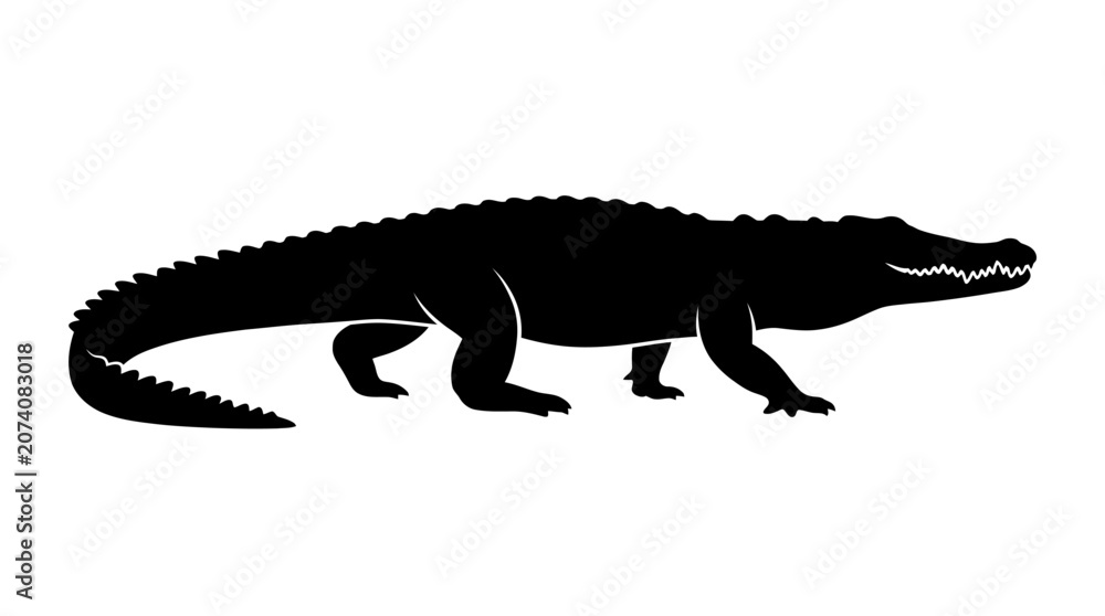 Fototapeta premium Black alligator, crocodile silhouette, reptile icon, wildlife symbol isolated on White Background Silhouette