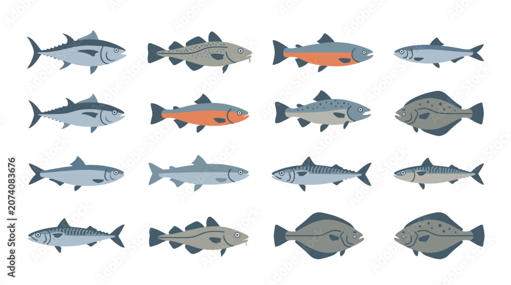 Fototapeta premium Collection of different fish species in flat vector style