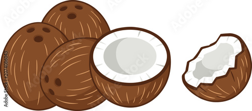 Fotografía Brown Ripe Coconut Vector Set with Whole Shaggy Fruits, Halved Shell, and Broken