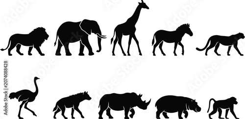 Photography Wild Animal Silhouettes, Safari Icons, Black Animal Shapes, Vector Wildlife Coll