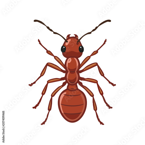 Red ant vector illustration isolated on transparent background