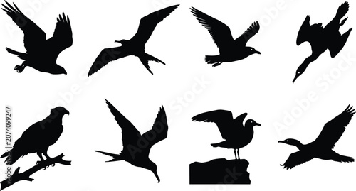 Canvastavla Seabird Silhouette Collection with Eagle Gull Frigatebird and Flying Coastal Bir