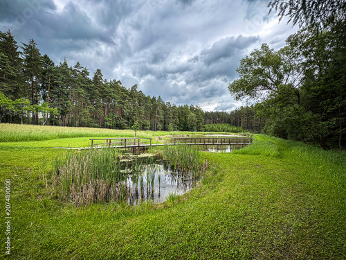 Serene Wetland with Lush Green Surroundings