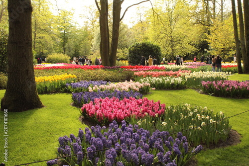 Quadro em tela Visitors walk among colourful flower beds of tulips, hyacinths and daffodils in