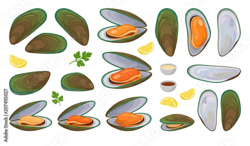 Tableau sur toile Fresh Green Shell Mussel Collection Vector EPS 10 Illustration Seafood Isolated