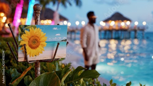 A tranquil beach scene showcasing a vibrant sunflower postcard beside a man gazing out at the shimmering waters and festive lights of a serene seaside location
