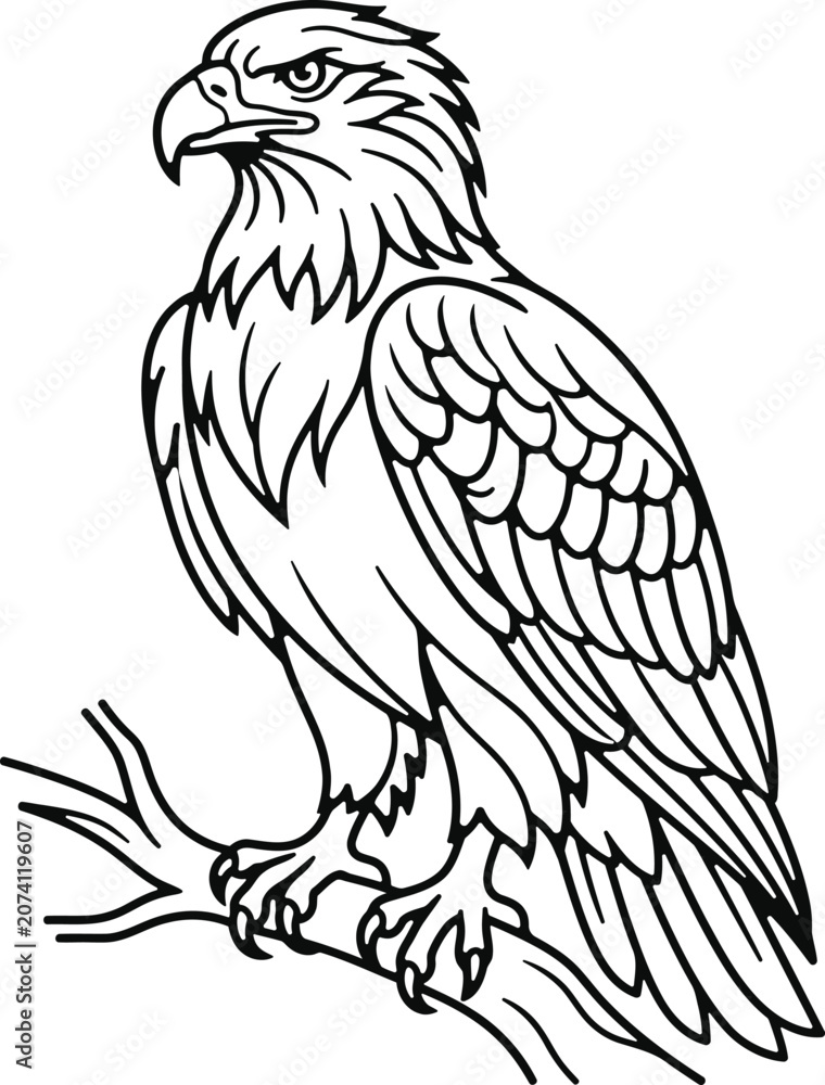 Fototapeta premium Detailed Eagle Perched on Tree Branch Vector Line Art