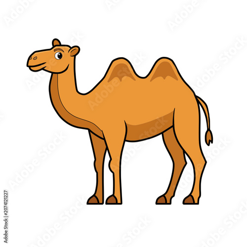 Fotografija Desert camel wild animal cartoon illustration on white backdrop.