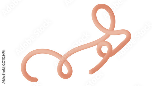 Fotografía Ebola virus pathogen vector illustration, microscopic filovirus bacteria structu