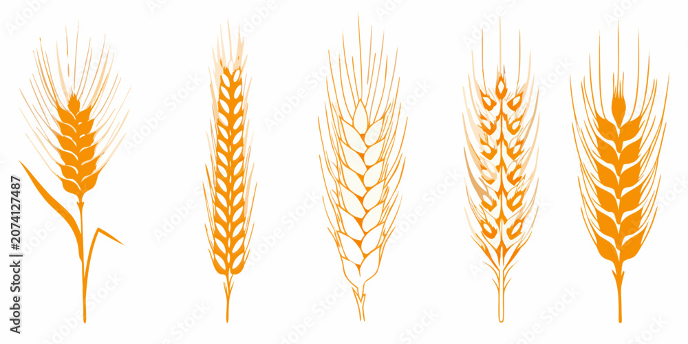 Foto Five Stylized Orange Wheat Bundles On White Background