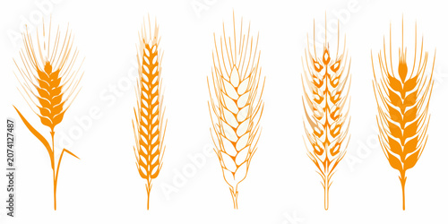 Foto Five Stylized Orange Wheat Bundles On White Background