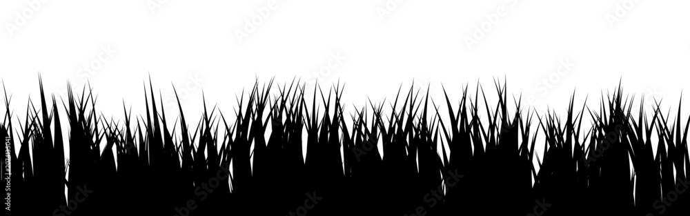 Obraz premium Meadow silhouette with grass, plants on plain. Panoramic summer lawn landscape with herbs, various weeds. Herbal border, frame element. Black horizontal banners. Vector illustration