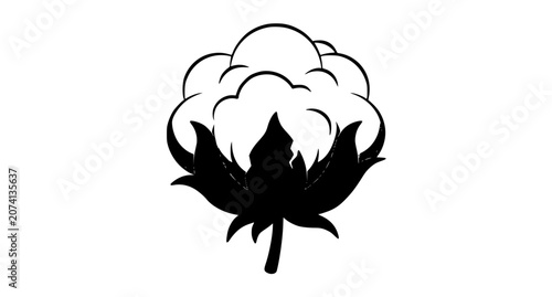 Tableau sur toile Cotton Boll Vector Illustration with Soft White Fibers and Brown Husk Flat Botan