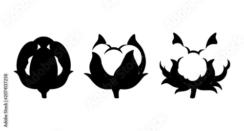 Bild auf Leinwand Botanical Cotton Branch with White Cotton Bolls Flat Vector Illustration Isolate
