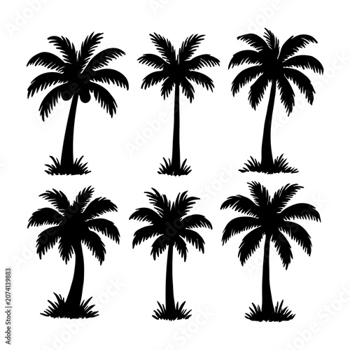 Hand drawn palm tree doodle element set. Green hawaiian clipart, isolated summer vacation collection in vintage art style