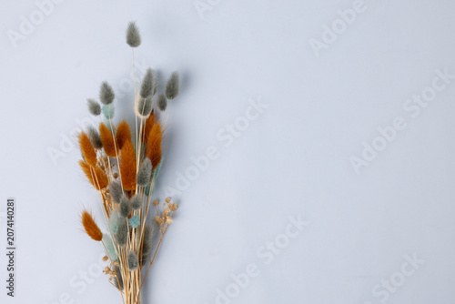 Dried flowers on a colorful background.