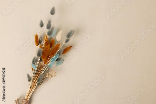 Dried flowers on a colorful background.