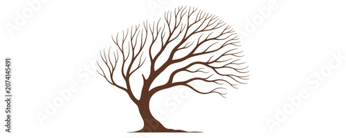 Bild auf Leinwand Bare Tree Branches Vector
Leafless Tree Crown Illustration
Dry Branch Tree Clipa