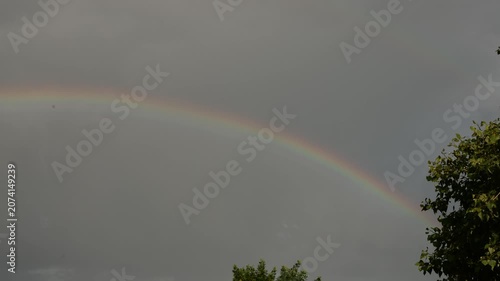 Vibrant rainbow arcs across a cloudy sky with lush green trees below