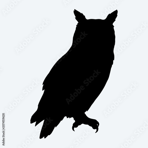 Owl silhouette, black bird, nocturnal animal, wildlife icon, vector illustration isolated on White Background Silhouette