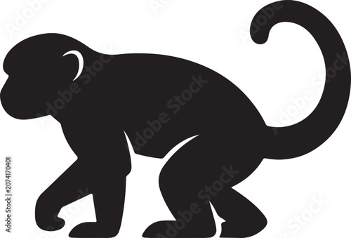 Photography monkey