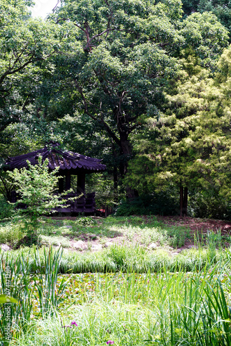Canvas Print A beautiful walk in Gwangneung Arboretum, vertical photo