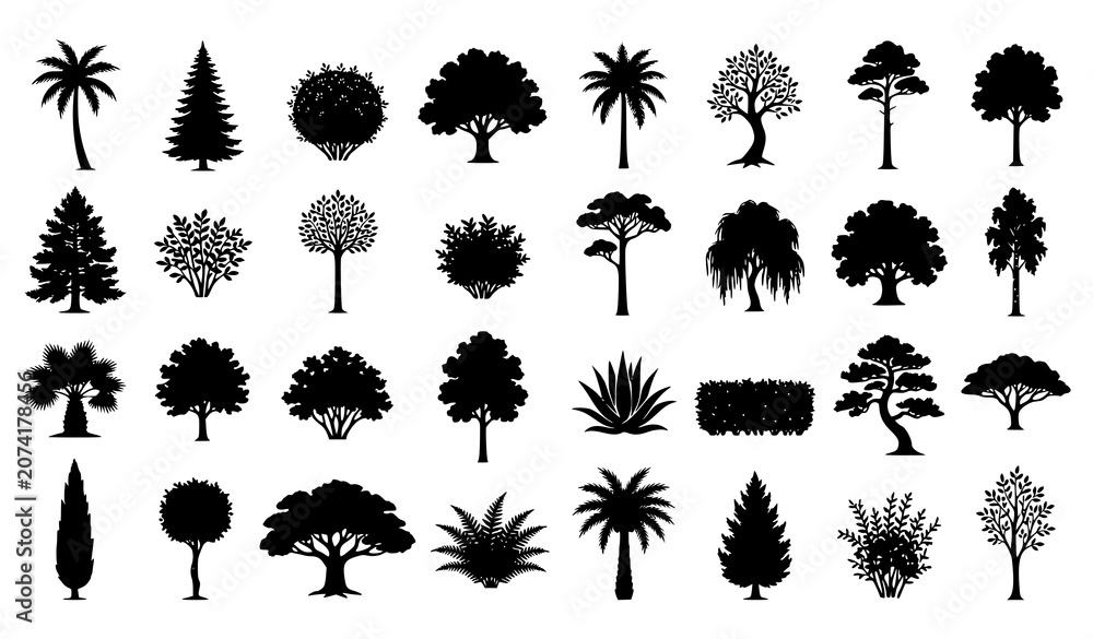 Fototapeta premium Collection of Diverse Botanical Tree Silhouettes Vector Illustration Isolated on White