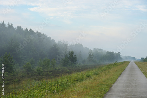 Konstfotografi Misty morning road beside a dense forest along the Noaberpad near the Dutch–German border, captured two weeks ago