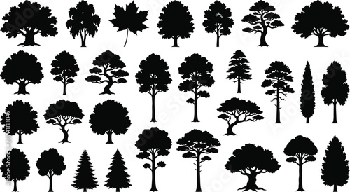 Obraz na plátně Black silhouettes of various trees on white background, including deciduous and