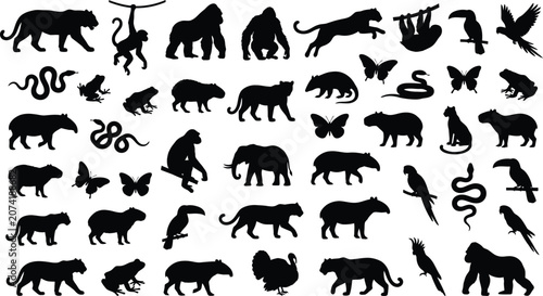 Fotografie Black silhouettes of various wild animals, including mammals, birds, and reptile