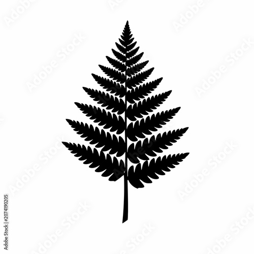 Black fern leaf, silhouette, vector icon, plant, foliage isolated on White Background Silhouette