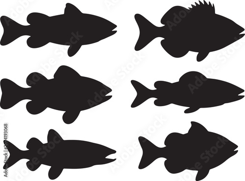 Collection of Freshwater Fish Silhouette Set Vector Illustration Isolated on White Background