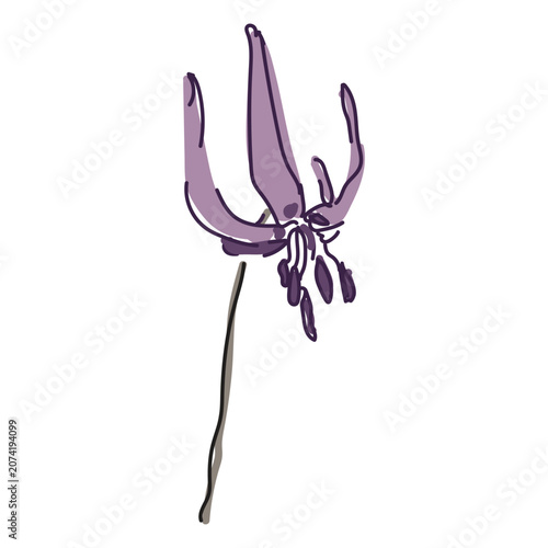 Hand drawn floral poster, botanical vector illustration, lilac flower design