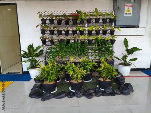 Vertical Garden Wall with Potted Plants and Natural Stones Decor
